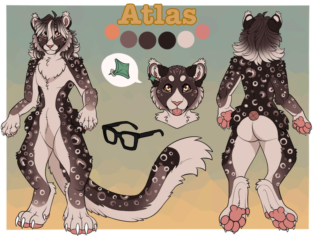 Standard reference sheet