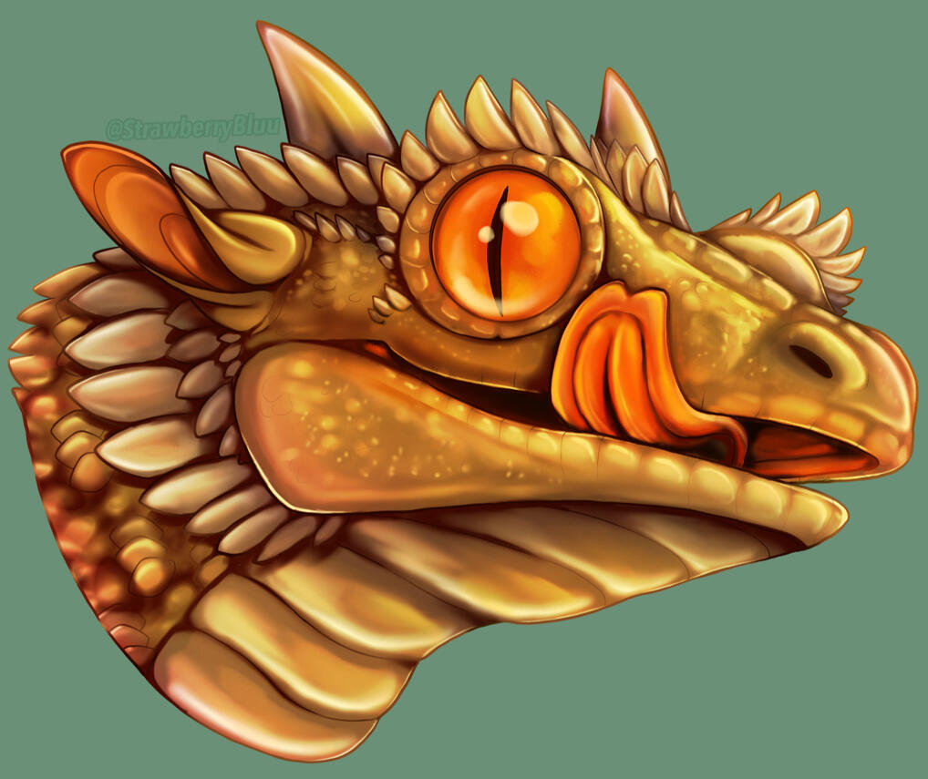 headshot (painted, colored lines, shaded)